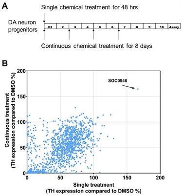 Identification of DOT1L inhibitor in a screen for factors that promote dopaminergic neuron survival